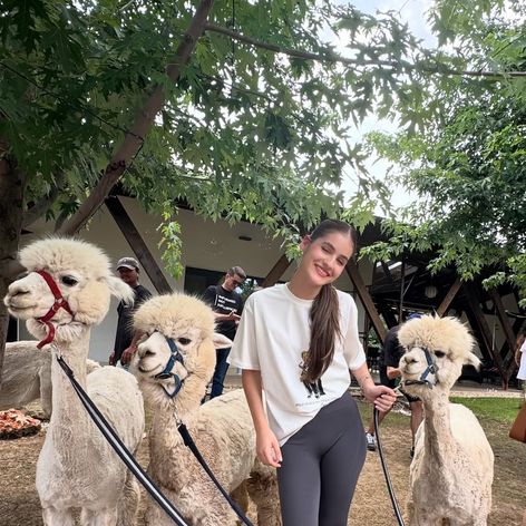 in looove🦙🤍 had the best time @thetribealpacaretreat !✨