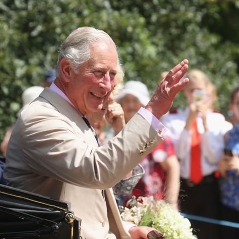 Prințul Charles, fermier pe domeniul regal Sandringham. A transformat propritatea în fermă organică