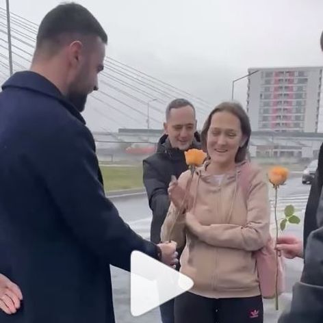 fana clanuul surpriza