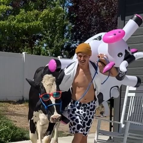 cu vaca la piscinsdjfsjd