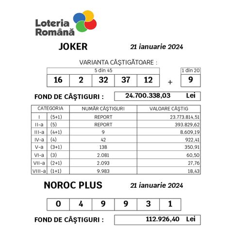 loto castigatoare 3