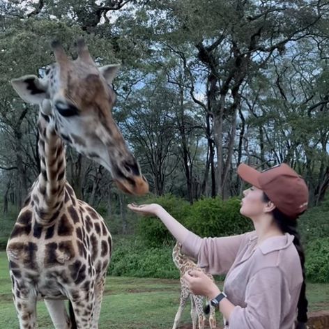 Vladuta Lupau in Africa
