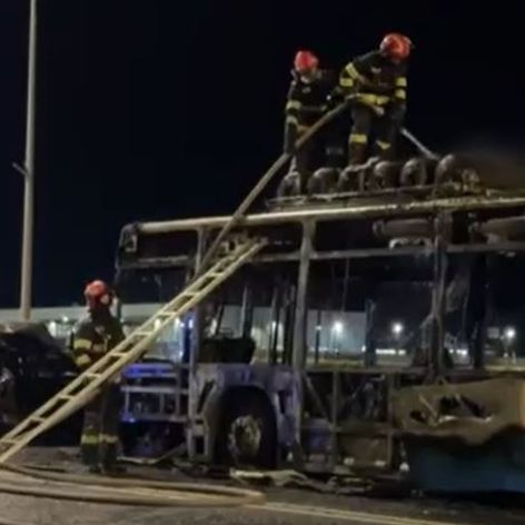 autobuz ars