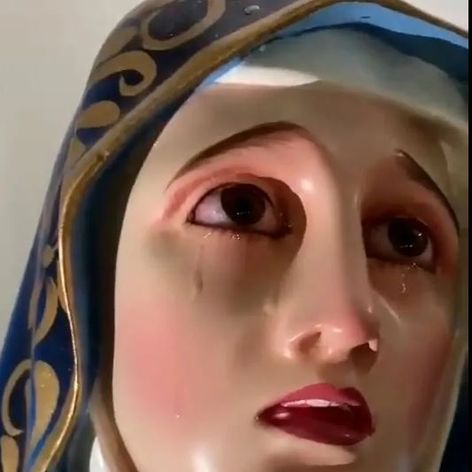 mary 7