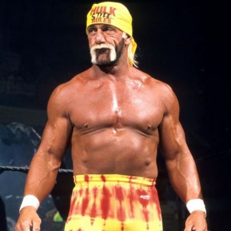 hulk hogan-botez