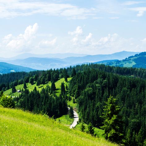 shutterstock_1708916029