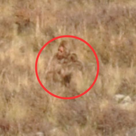 Bigfoot_Shannon_Parker_10112023