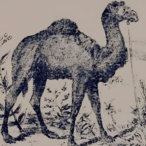 Screenshot 2025-09-11 132735