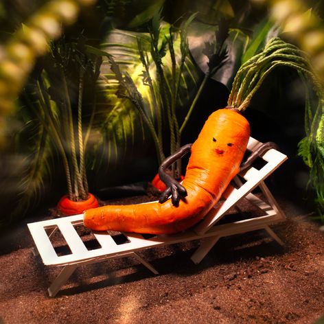 Carrotica (r. Daniel Sterlin-Altman)_Erotica