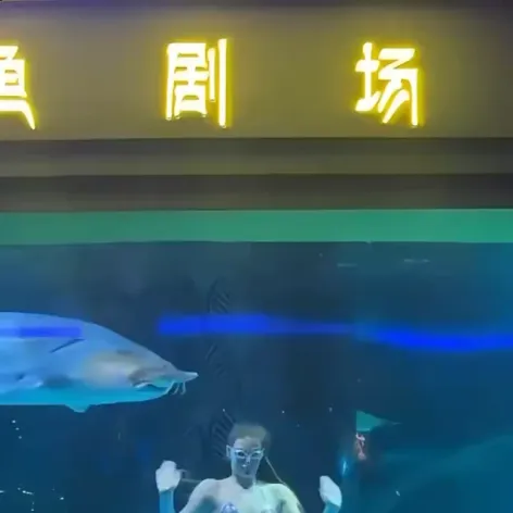 a-sturgeon-in-an-aquarium-tried-to-swallow-a-woman-dressed-v0-YTAzbmtnMzZ4eGZlMVUwKGlpfaEx4qfrAHZ0q5f-sdcOsw9PbRQ6CgPyOSiz