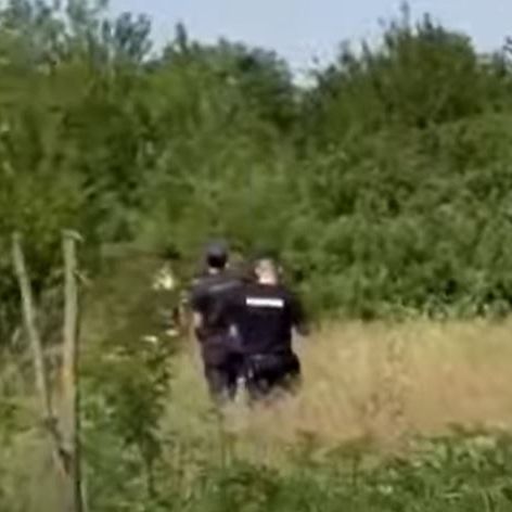 politie padure