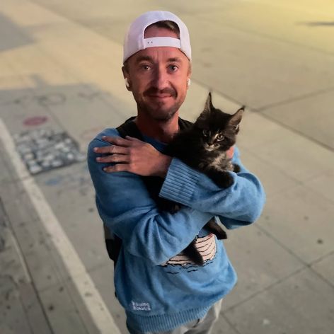 Morning kittens (1)