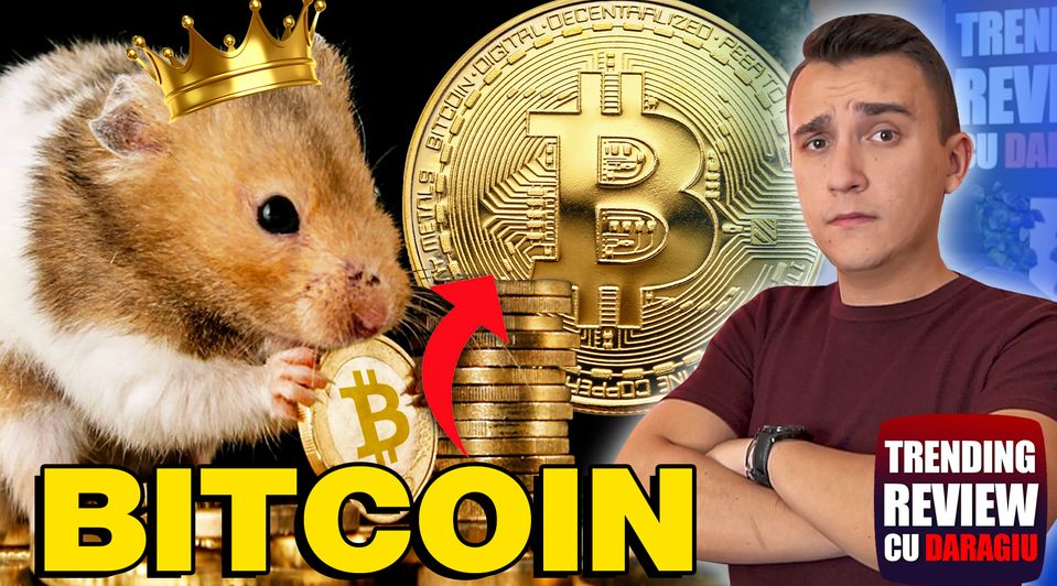 Hamsterul care investește în cryptomonede Hamsterul care investește în cryptomonede