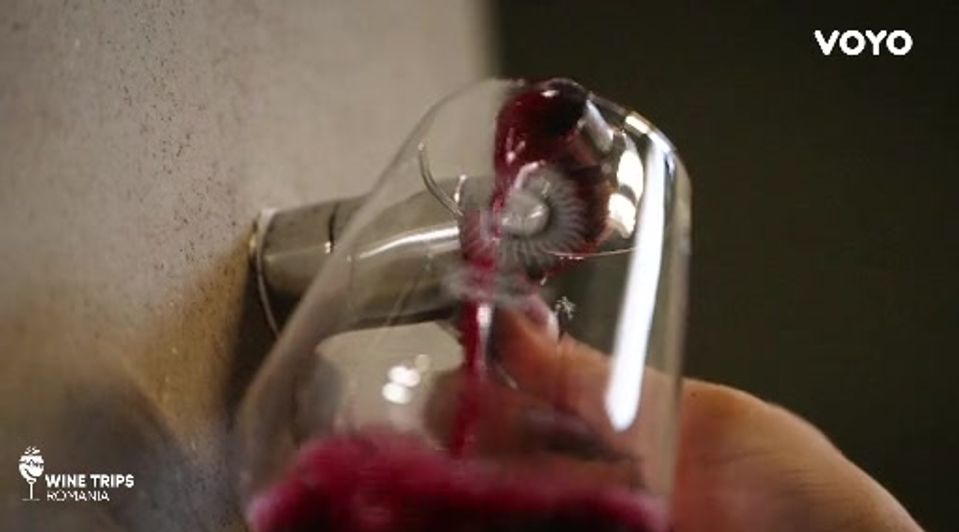 Wine Trips Romania S4E7 – Domeniul Bogdan