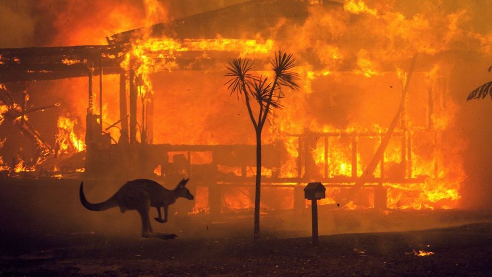 Cum poți dona pentru Australia? Cine sunt starurile care au strâns sute de milioane $ pentru stingerea incendiilor