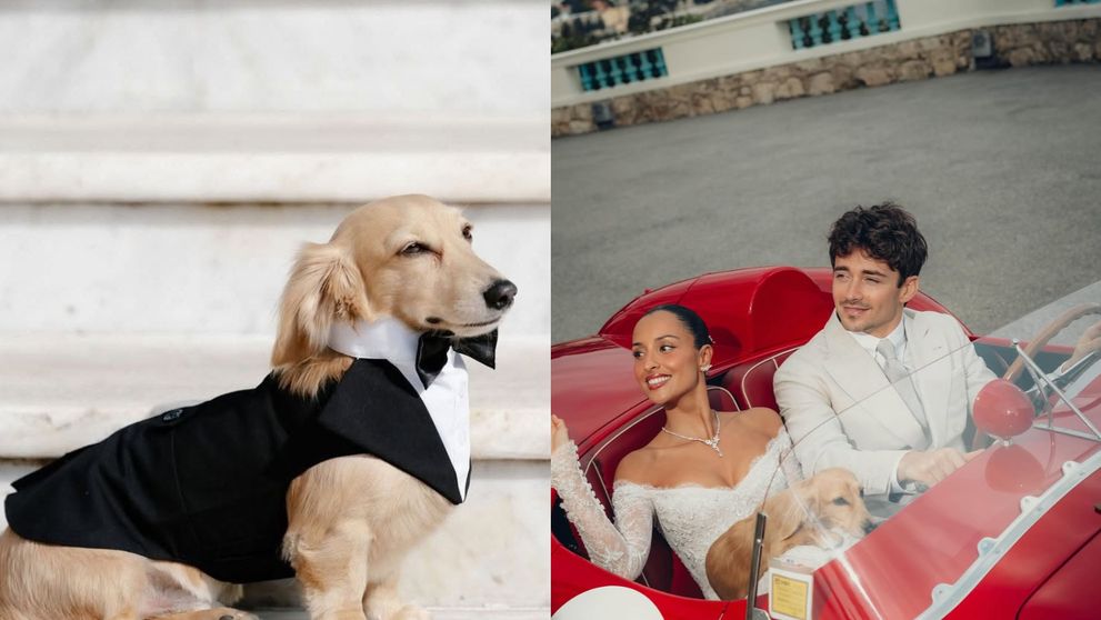 Cățelul lui Charles Leclerc a devenit viral. Imaginile adorabile cu Leo de la nunta fastuoasă din Monaco fac înconjurul internetului: „ Cel mai loial invitat al evenimentului”