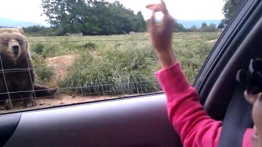 VIDEO. <span style=