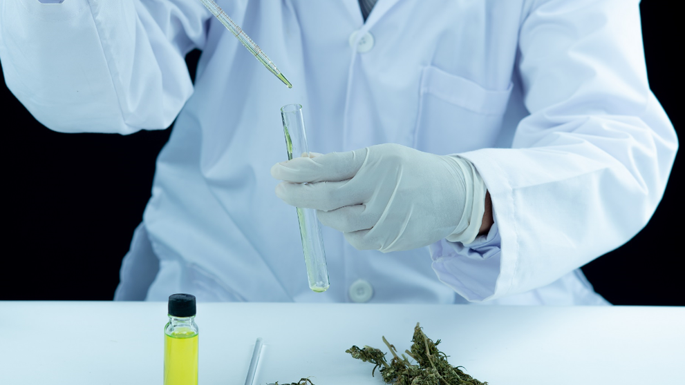 (P) Despre gripe, răceli și uleiul CBD: beneficii, efecte și statut legal