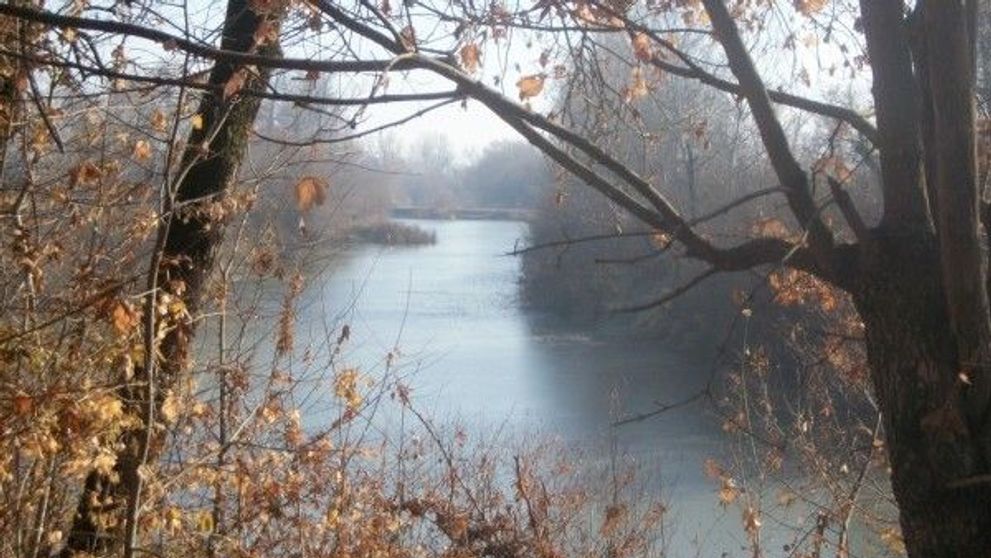 Locul din Romania unde apa alcalina carbogazoasa este francofona. Are acelasi proprietati ca celebra Vichy-Celentines