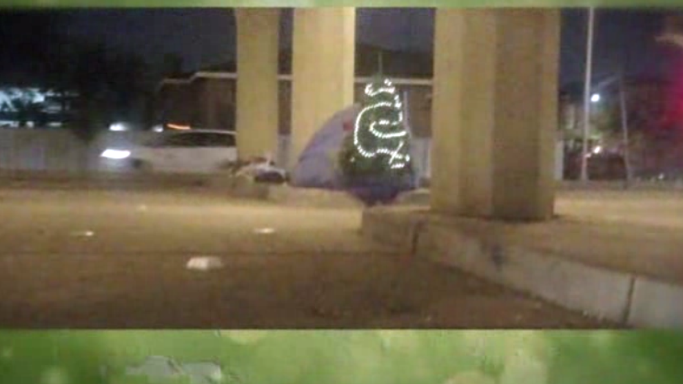 Un om al strazii a pus un brad in fata cortului sau. Ce au facut trecatorii
