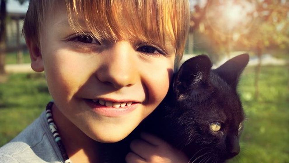 Este una dintre cele mai curajoase pisici. Cum a salvat o felina un baietel de 5 ani de atacul unor batausi