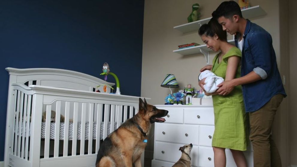 O sarcina in 60 de secunde. Un viitor tatic si-a fotografiat zilnic sotia insarcinata. Detaliul pe care l-a observat