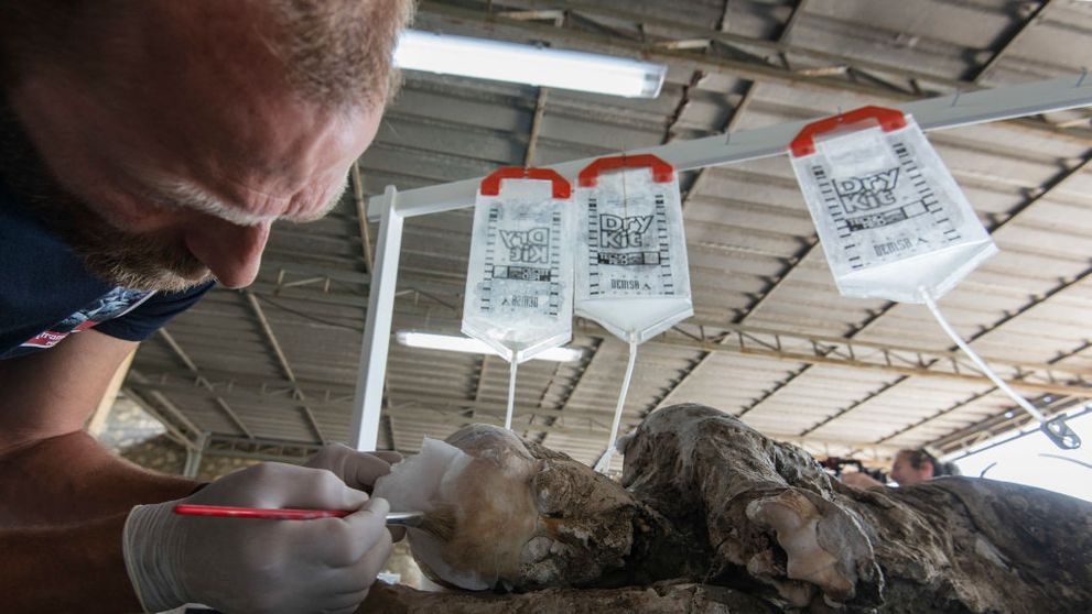 Descoperire șocantă despre victimele de la Pompeii. Un nou test ADN a dezvăluit cine erau, de fapt! Cercetătorii au o teorie stupefiantă