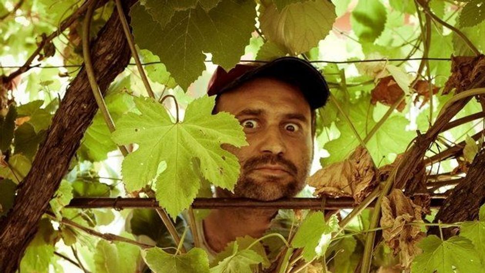 Celentano s-a amorezat! Rata si-a schimbat masina, iar Giani s-a angajat! 2 super-episoade din Las Fierbinti, diseara, de la 20:30, la PRO TV