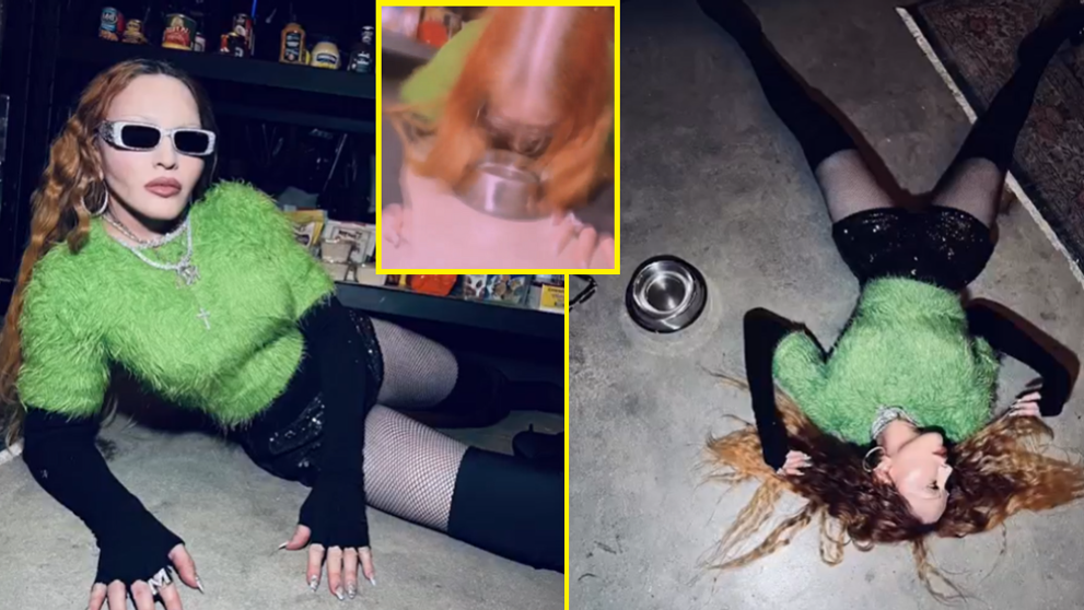 Madonna bea apă din bolul câinelui? Apariția care i-a șocat pe fanii divei pop