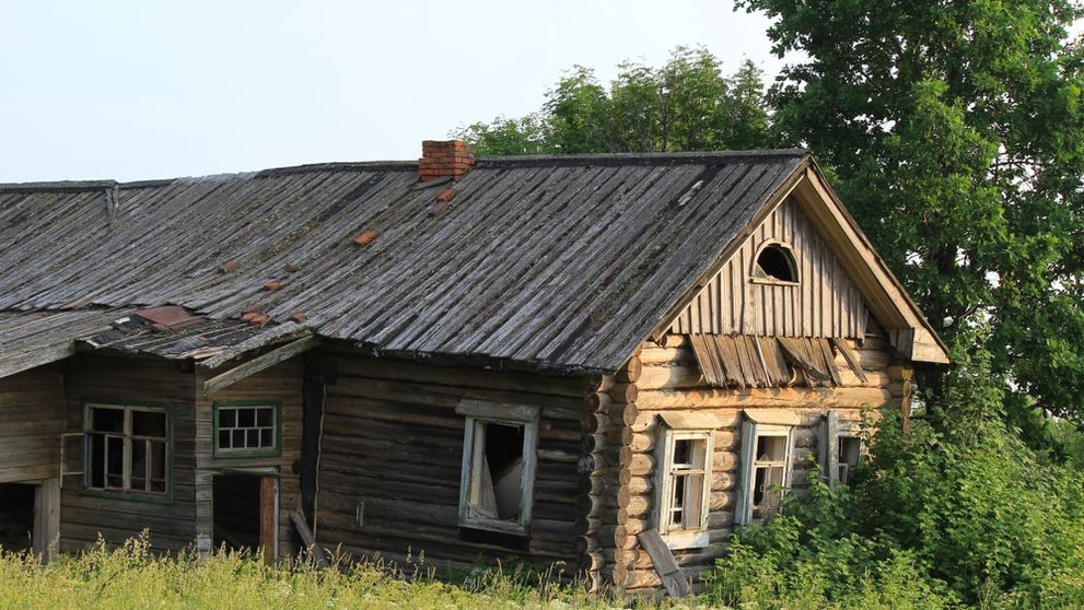 Doi frați, de șase și nouă ani, găsiți în scutece și mizerie la o fermă! Copiii erau rupți de lume și vorbeau o limbă inventată