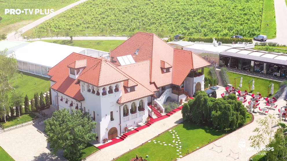 Wine Trips România | Răsfăț culinar și vinuri de poveste pe tărâmul bucuriei al Casei Timiș