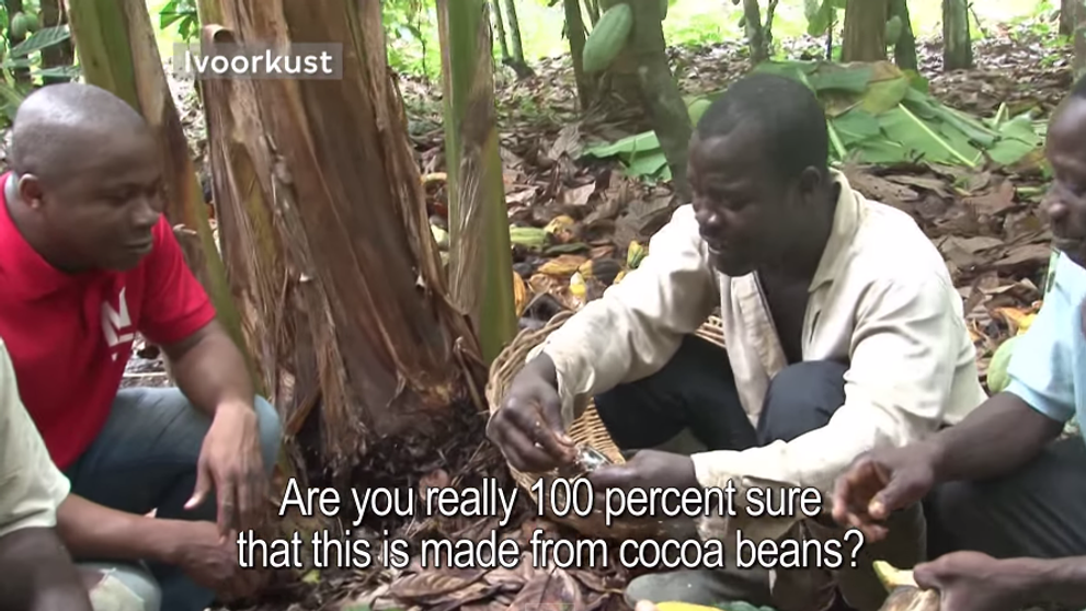 Cum reactioneaza muncitorii de pe plantatiile de cacao cand gusta ciocolata pentru prima oara - VIDEO