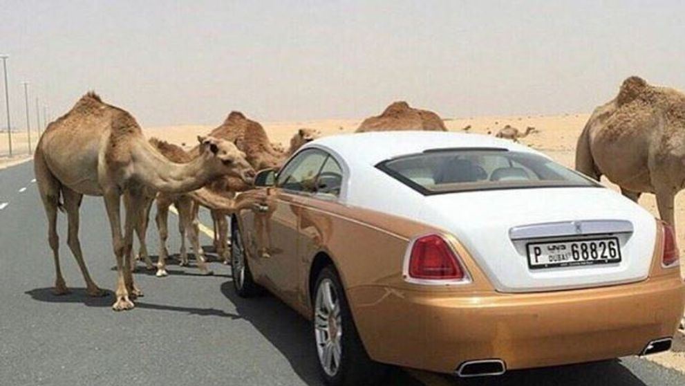 10 lucruri extrem de scumpe pe care si le permit milionarii din Dubai. Excentricitatile de care se bucura in fiecare zi