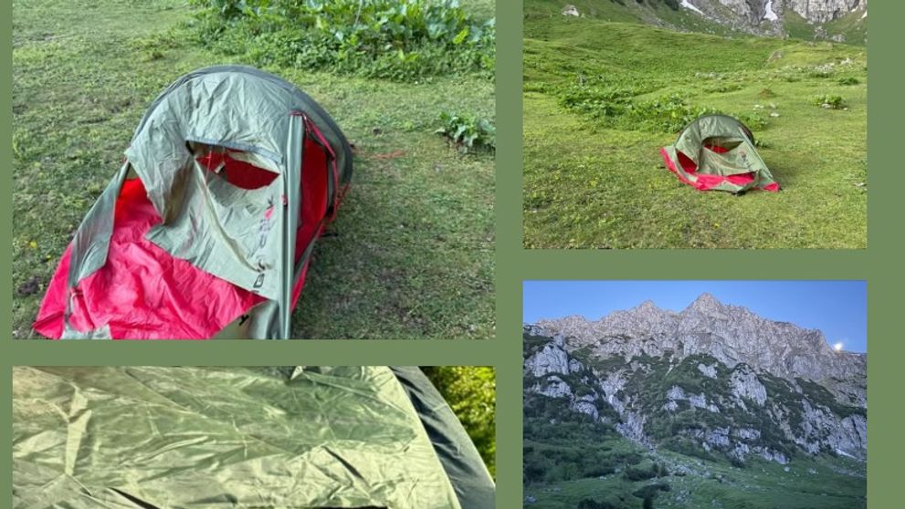 Câinele unei familii cu doi copii care campa la munte, în zona Brașov, a alungat un urs. Animalul sălbatic a fost atras de mirosul mâncării păstrate într-un rucsac - FOTO