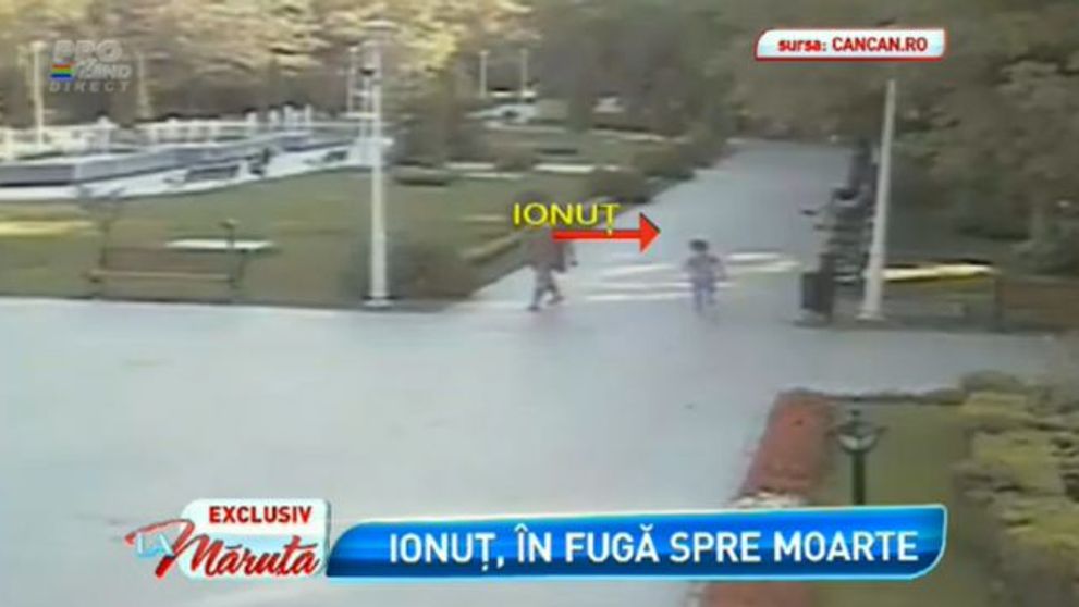 Rasturnare teribila de situatie in cazul copilului sfasiat de caini. Ce au aflat anchetatorii. Imagini surprinse de camerele de supraveghere din parc