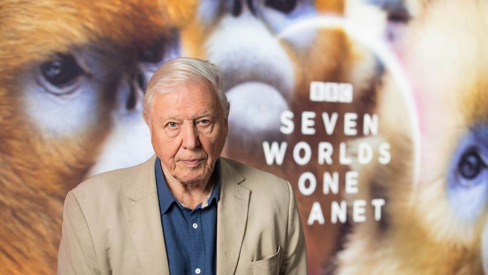 Misterul lui Bigfoot, rezolvat. David Attenboroug a filmat ”monstrul” într-un documentar BBC