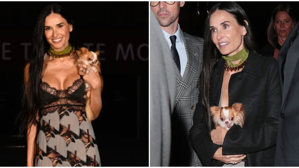 Demi Moore și cățelușa Pilaf, în centrul atenției la prezentarea Gucci: „E vampir? Femeia asta arată mai bine ca la 25 de ani!”