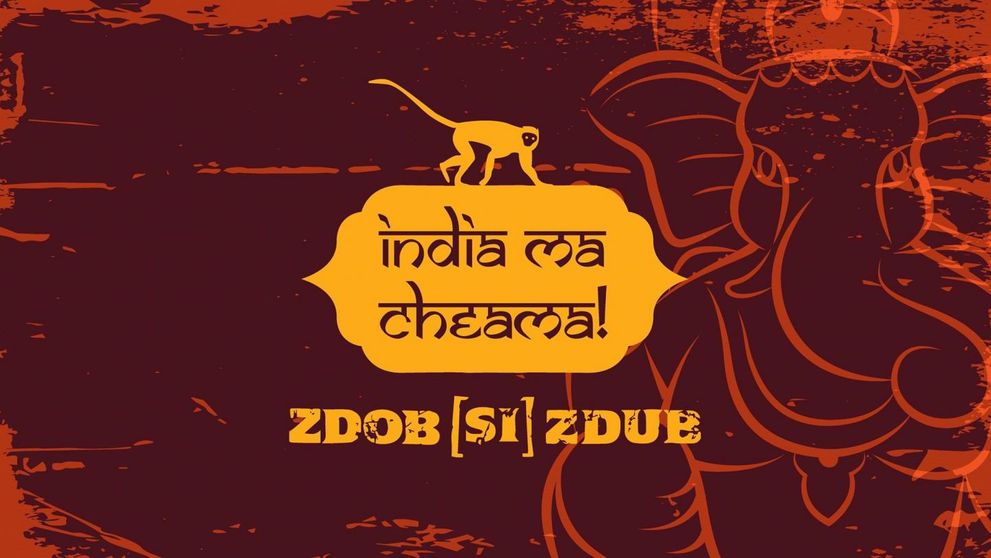 Zdob și Zdub anunță zborul spre India! 