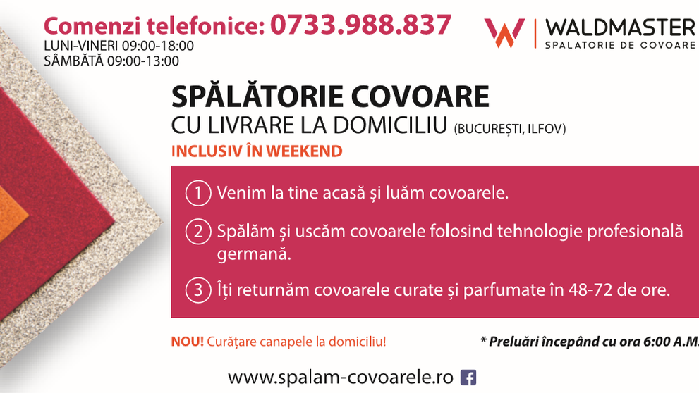 (P) Curățarea covoarelor mai simplă ca niciodată - servicii profesionale de la Waldmaster