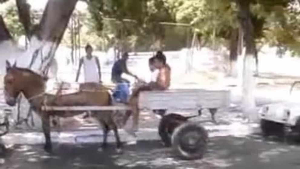 Cum sa faci o parcare paralela cu o caruta trasa de magar! VIDEO