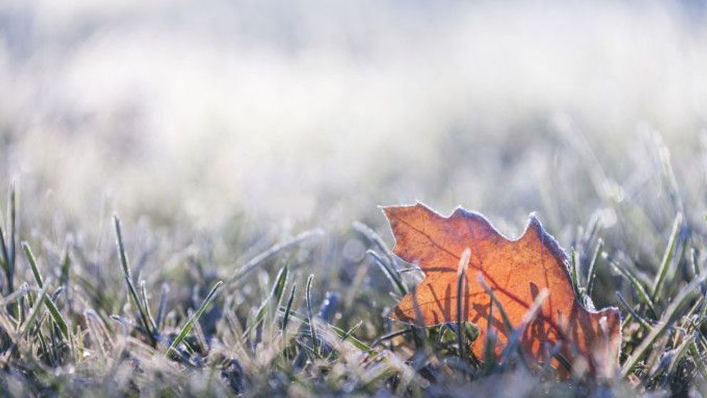 VIDEO Prognoza meteo: vreme mohorâtă