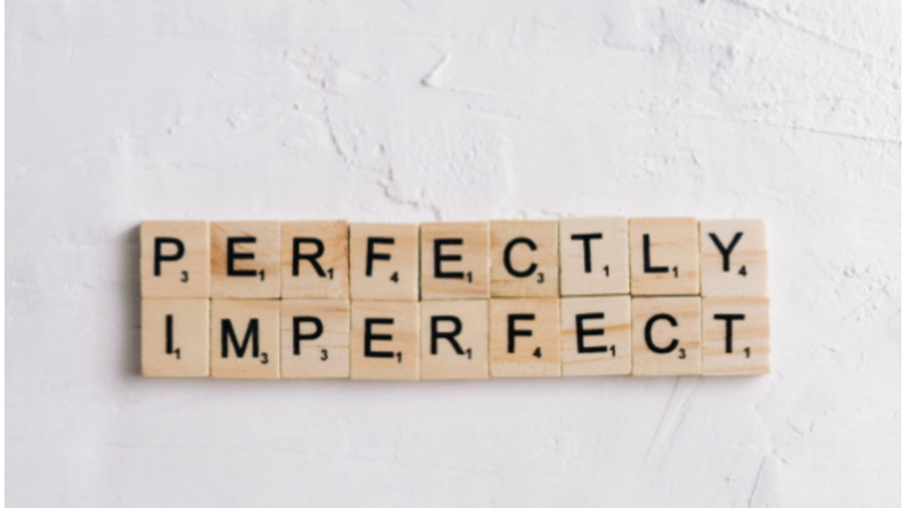 (P) Plum Media - O agenție de web design și marketing online imperfectă