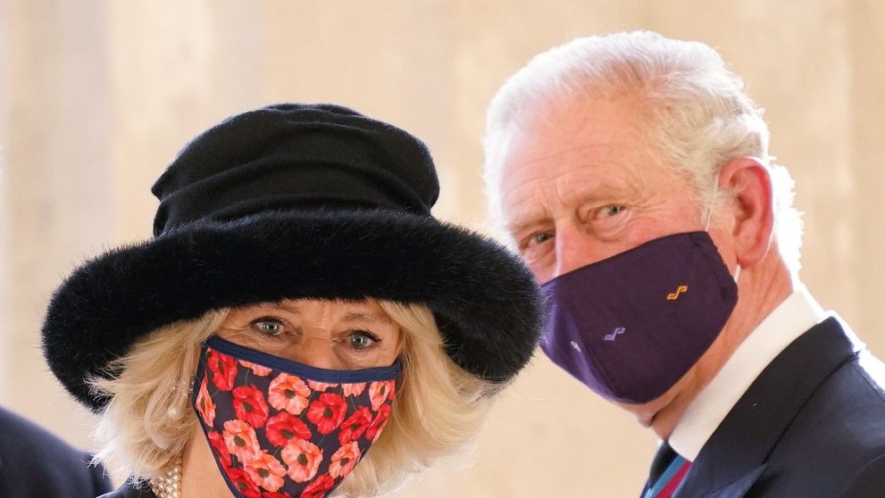 Camilla, soția lui Charles, atacată online: ”O femeie oribilă”