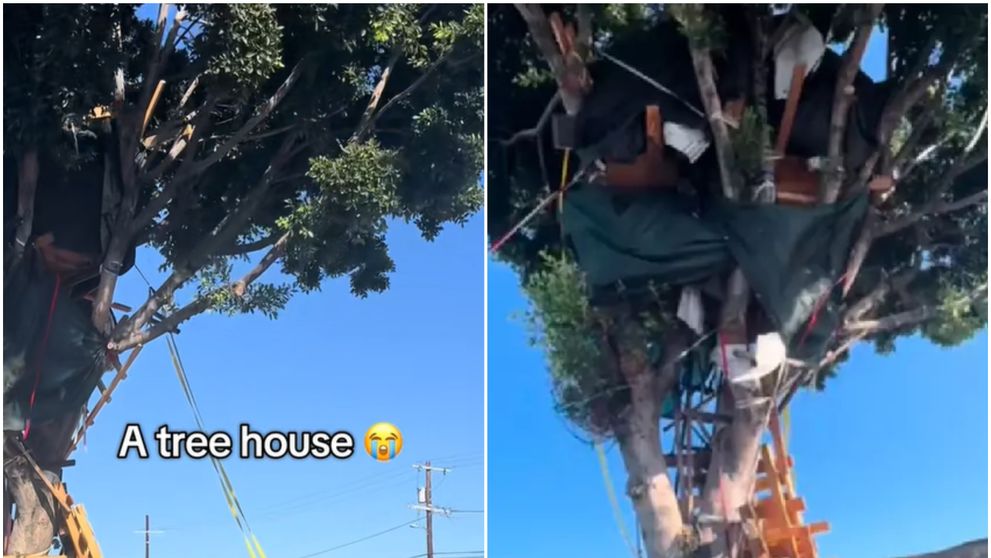 El este bărbatul fără adăpost care și-a construit o casă cu trei etaje într-un copac! Poliția l-a evacuat: „Deja fac una nouă. Sunt ca Tarzan” FOTO