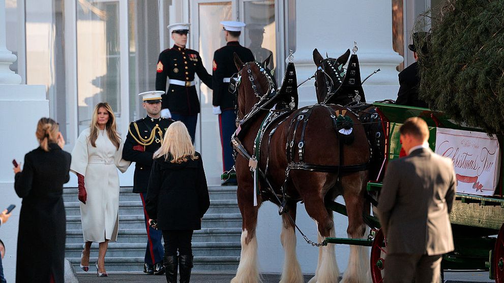 A venit, a pozat, a dispărut! Motivul pentru care Melania Trump i-a înfuriat pe americani la ceremonia bradului de Crăciun