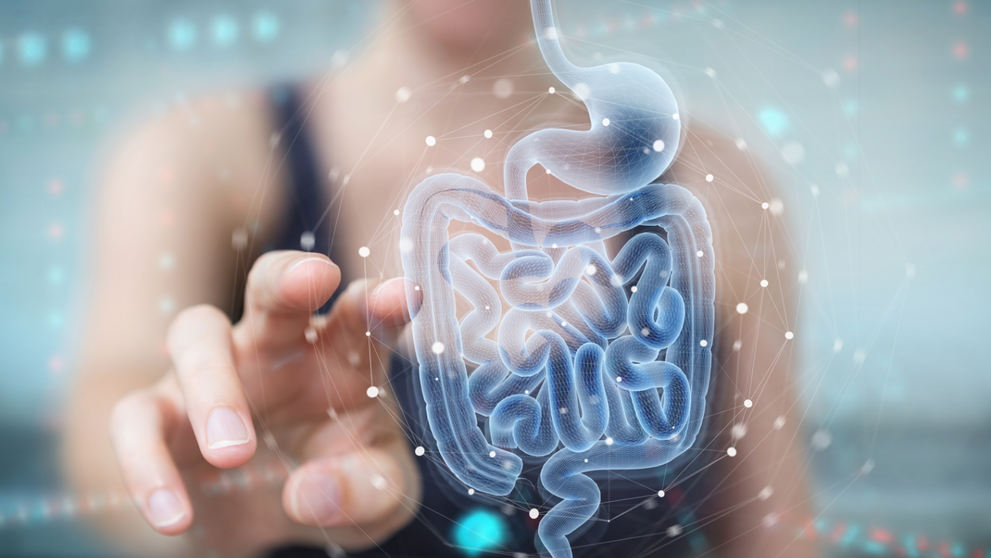 Ziua Internațională a Microbiomului, sărbătorită anual pe 27 iunie