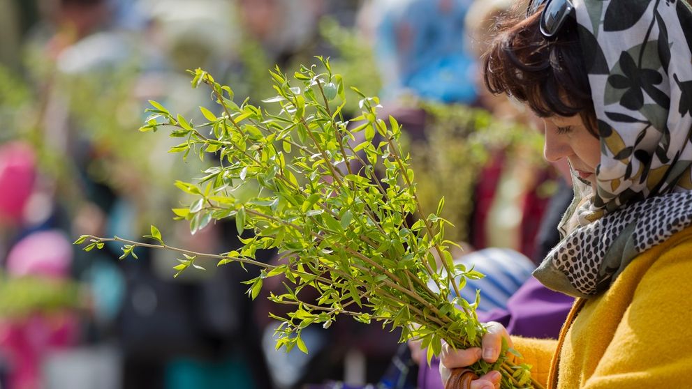 Ce este bine să faci cu salcia uscată de Florii. Preoții spun că nu trebuie aruncată în niciun caz la gunoi