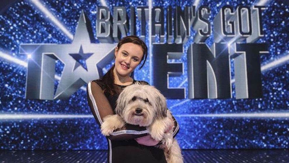 Cateii au talent. Fa cunostinta cu patrupedele care au castigat 