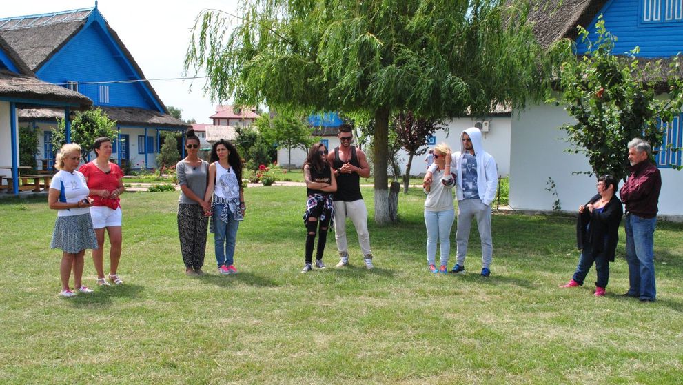 Provocarile din 