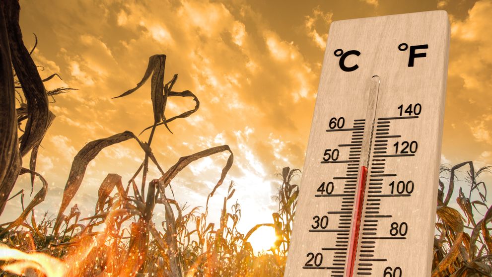 Cât ține valul de caniculă în România. Iulie aduce temperaturi record, anunță meteorologii